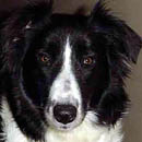 Christie was adopted in September, 2005